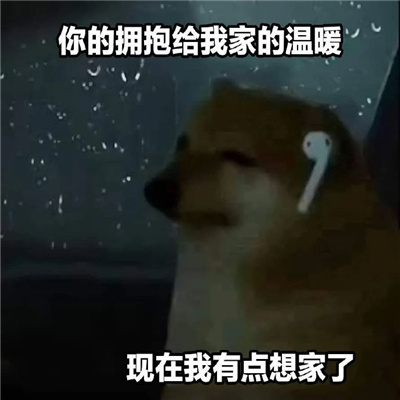 搞笑斗图聊天表情包 谁能莫名其妙的给我转一块钱