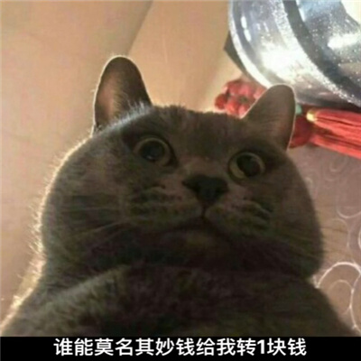 搞笑斗图聊天表情包 谁能莫名其妙的给我转一块钱