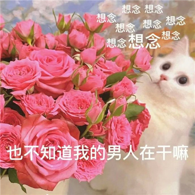 搞笑斗图聊天表情包 谁能莫名其妙的给我转一块钱