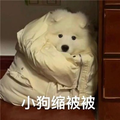 一身反骨必备的微信表情包 全是反骨好玩的表情