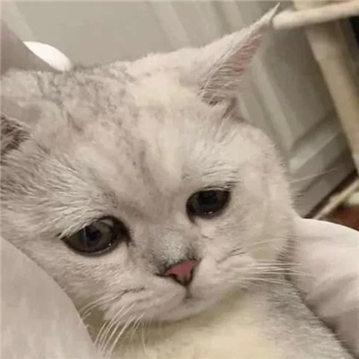 破防哭哭表情合集 哭唧唧表情大全