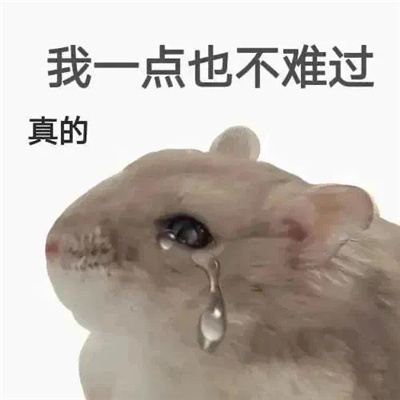 表情复杂的表情包好用 哥跟你掏心窝子你跟哥藏心眼子