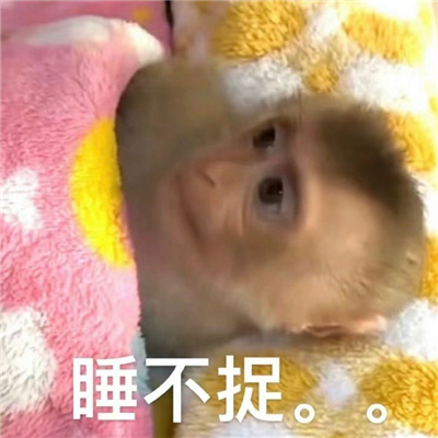 近期超火超爱的表情大全 您在叭叭什么呢