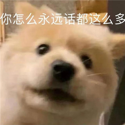 近期超火超爱的表情大全 您在叭叭什么呢