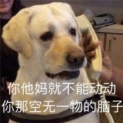 近期超火超爱的表情大全 您在叭叭什么呢