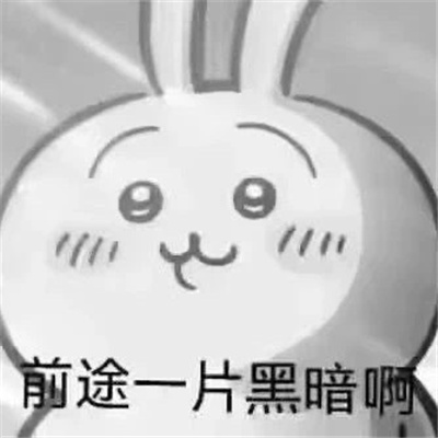 2024都是笑点的趣味表情 流行于网络的表情合集