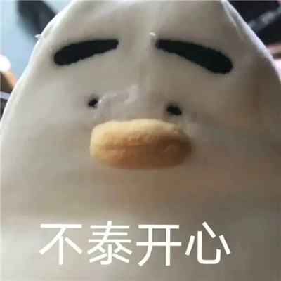 2024都是笑点的趣味表情 流行于网络的表情合集