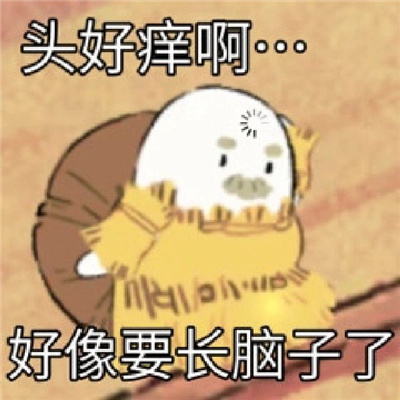 2024都是笑点的趣味表情 流行于网络的表情合集