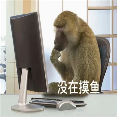 2024都是笑点的趣味表情 流行于网络的表情合集