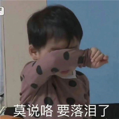 2024都是笑点的趣味表情 流行于网络的表情合集