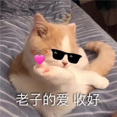 表情很好用让人心情愉悦 请问你很牛吗