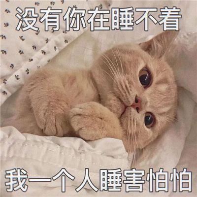 表情很好用让人心情愉悦 请问你很牛吗