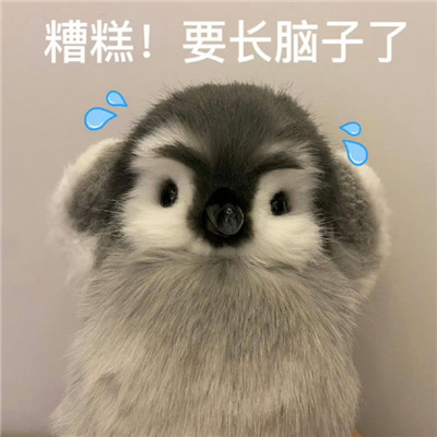 斗图不能缺少搞怪表情 热门奇葩表情最新合集