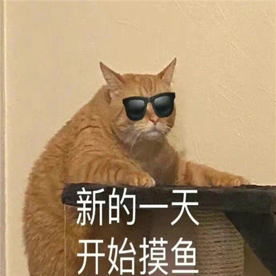 斗图不能缺少搞怪表情 热门奇葩表情最新合集