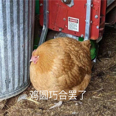 斗图不能缺少搞怪表情 热门奇葩表情最新合集