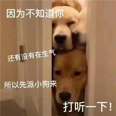 聊天能多很多开心的表情大全 幽默风趣的小众表情