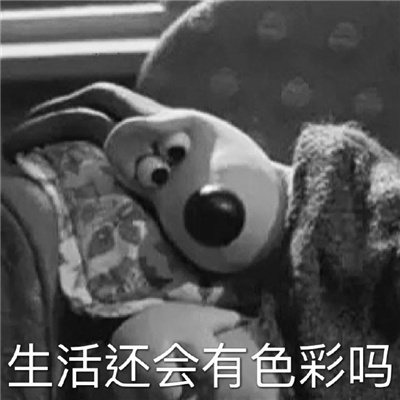 2024聊天必备Gromit掌门狗微信表情 张张都是爆笑梗的好用表情合集