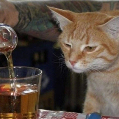 假期喝酒专用表情包 喝酒喝酒不说那些了