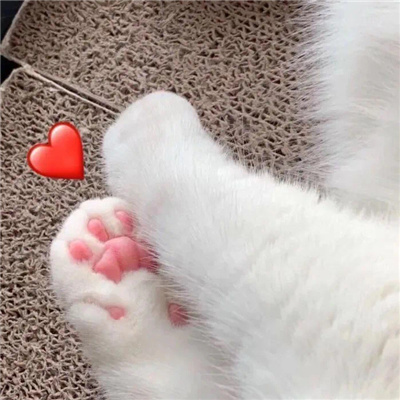 热门好用的比心表情包 释放超大的爱意