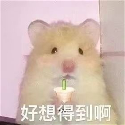 2024有病系列的表情最新 有病表情热门合集