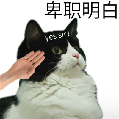 2024有病系列的表情最新 有病表情热门合集