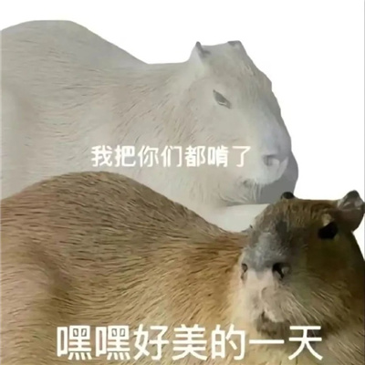 2024有病系列的表情最新 有病表情热门合集