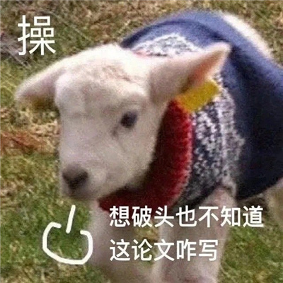 写论文搞怪系列表情包 想破头也不知道这论文咋写