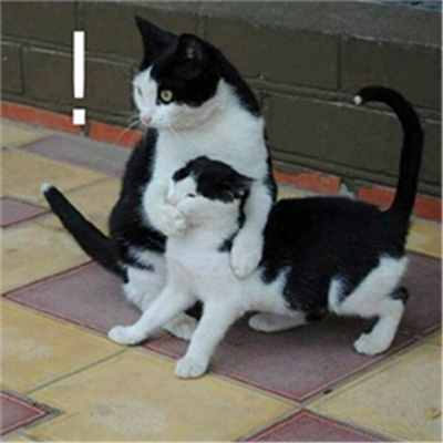 捂耳朵我不想听表情包 堵住耳朵什么也不听的表情大全