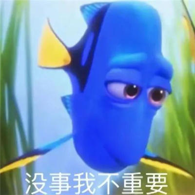 每张都很爱用又很有梗的表情 搞怪超有梗的表情大全