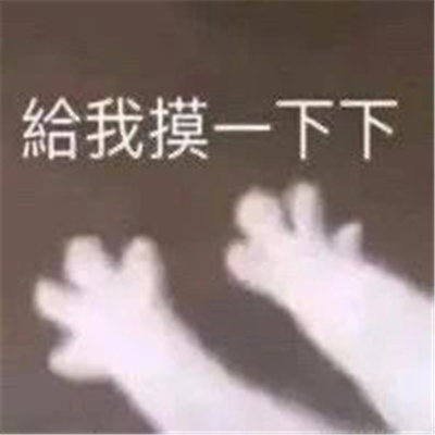 精选热门聊天表情快乐满满 给家人们整无语了