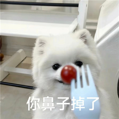 快乐表情大全新版很好用 我这一生如履屡薄冰