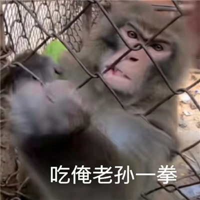 快乐表情大全新版很好用 我这一生如履屡薄冰