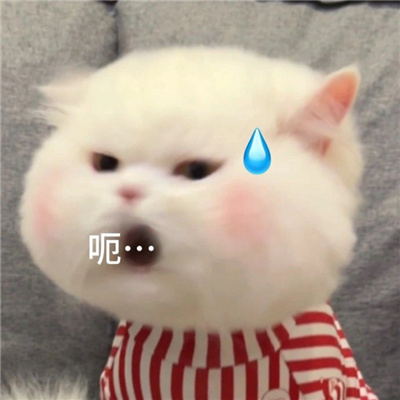 可以回复所有问题的表情 简单可爱好用系列表情大全