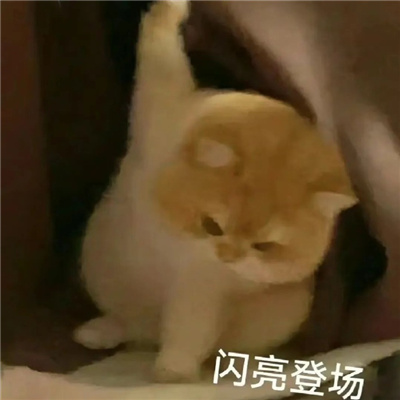 经常会用到的表情大全 常用的微信表情2024版