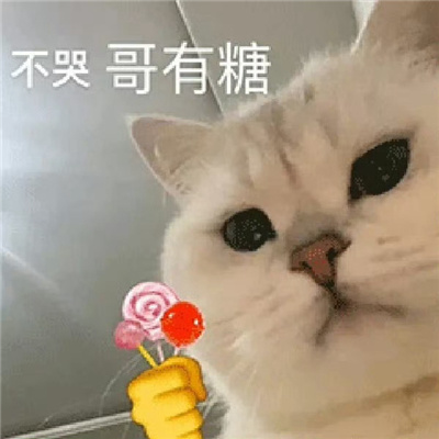 经常会用到的表情大全 常用的微信表情2024版