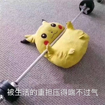 经常会用到的表情大全 常用的微信表情2024版