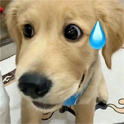 厚脸皮必备的表情好用 有本事你来打我嘛