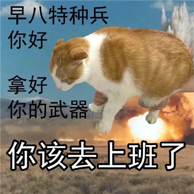 2024版聊天表情超级有趣味 不和杠精争论你说的都对