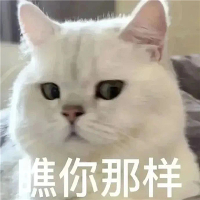 2024版聊天表情超级有趣味 不和杠精争论你说的都对