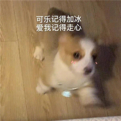 最近搜集的表情火爆全网 聊天不能错过的好用表情