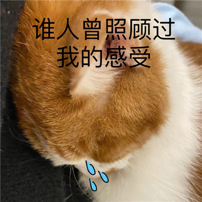 最近搜集的表情火爆全网 聊天不能错过的好用表情