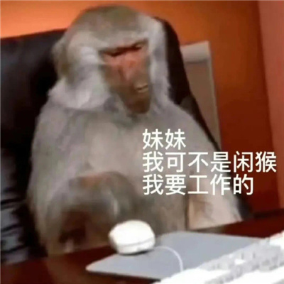 2024超级火爆的猴子表情大全 吗喽表情大合集最新