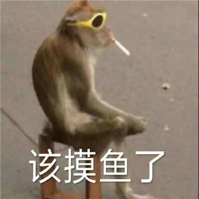 2024超级火爆的猴子表情大全 吗喽表情大合集最新