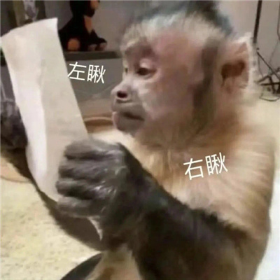 2024超级火爆的猴子表情大全 吗喽表情大合集最新
