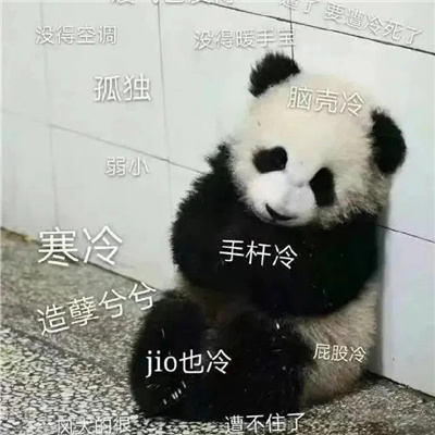 太冷啦微信聊天表情包 天冷了用的表情