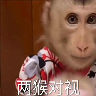 超快乐好用聊天的表情 我只有一条路就是走投无路