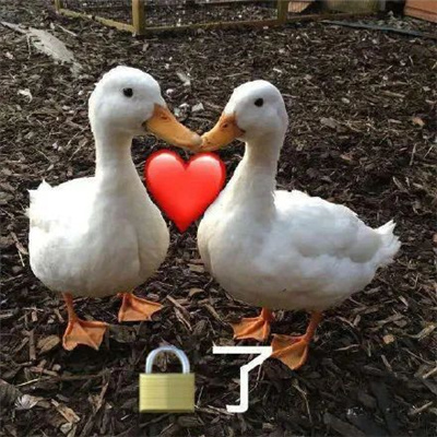 超快乐好用聊天的表情 我只有一条路就是走投无路