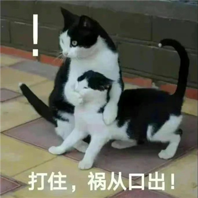 超快乐好用聊天的表情 我只有一条路就是走投无路