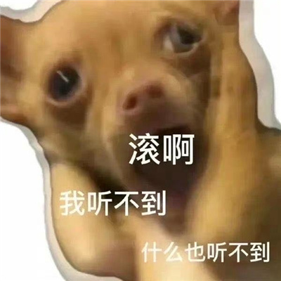 玩网人必备超快乐的表情 再见了家人们这个星球不太适合我