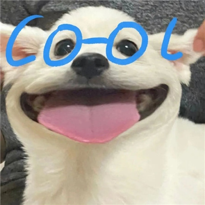 超阔爱的微信狗子表情 给爷来点生活费